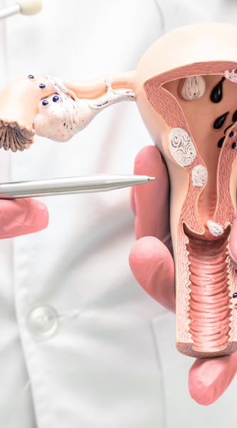 Dra Carmen Trota - Ginecologista em Juiz de Fora Especialista em Uroginecologia, PTGI, Microscopia Vaginal, Histeroscopia, Colposcopia, Climaterio e Menopausa Dra Carmen Trota Ginecologista em Juiz de Fora Ginecologista Ginecologia em Juiz de Fora Ginecologia Histeroscopia em Juiz de Fora Histeroscopia Colposcopia em Juiz de Fora Colposcopia Especialista em Menopausa Uroginecologista Uroginecologia Uroginecologista em Juiz de Fora
